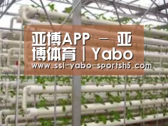 环境展示六