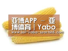产品名称五