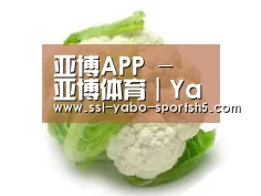 产品名称九