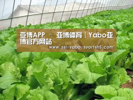 种植基地一