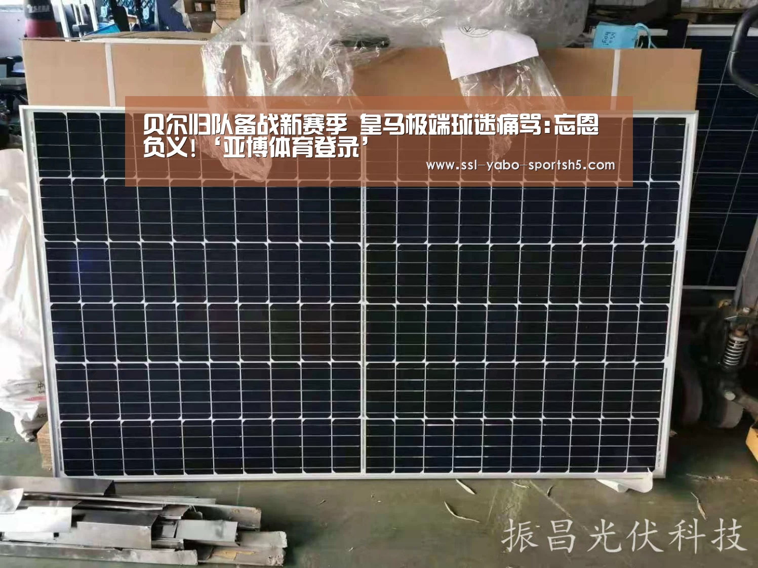 贝尔归队备战新赛季 皇马极端球迷痛骂:忘恩负义!‘亚博体育登录’(图3) 亚博体育官网