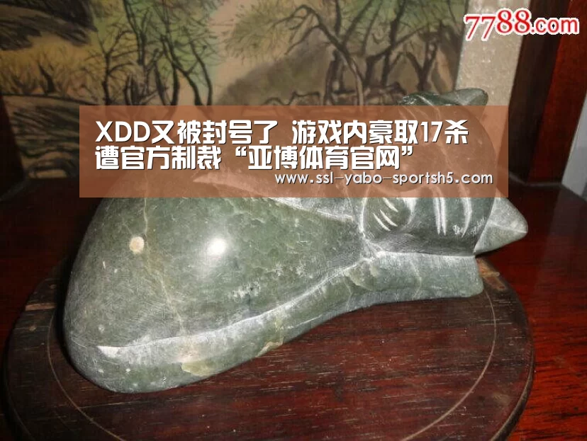 XDD又被封号了 游戏内豪取17杀遭官方制裁“亚博体育官网”(图1) 亚博官方