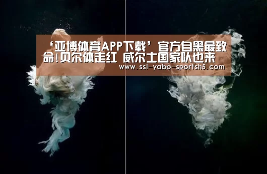 ‘亚博体育APP下载’官方自黑最致命!贝尔体走红 威尔士国家队也来认证(图1) 亚博体育登录